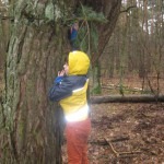 So sieht ein "geheimes Versteck" aus, das man finden muss