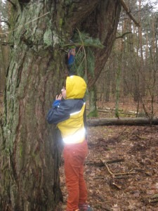 So sieht ein "geheimes Versteck" aus, das man finden muss